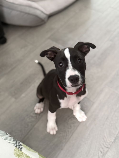 Jack