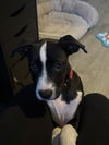 Jack