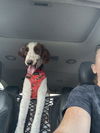 Maizie