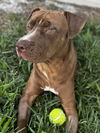 Beau Killian Wyatt 2