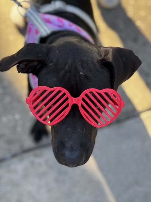 MINNIE