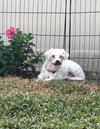 Linda - Photo 8