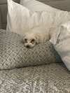 Linda - Photo 5