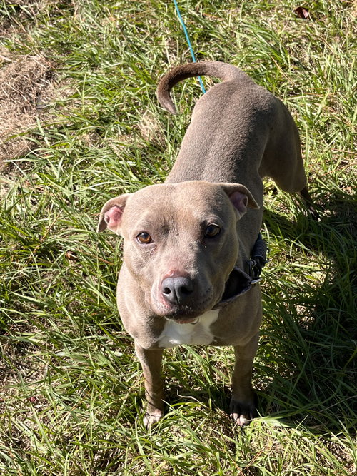 Penny (Penelope) photo 5