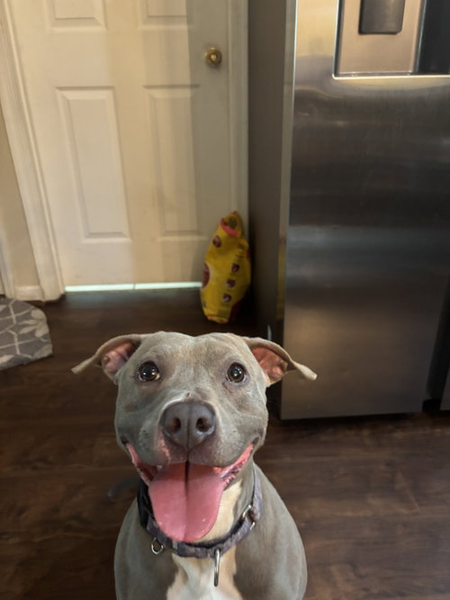 Penny (Penelope) photo 2