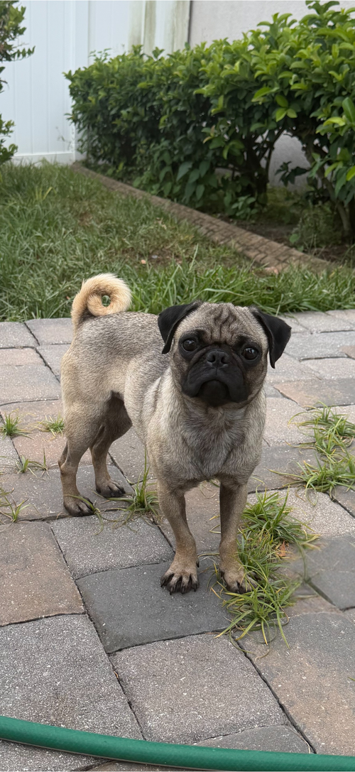 Peggy photo 2