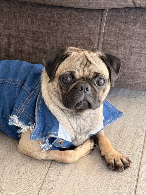 Peggy