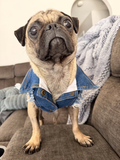 Peggy photo 3
