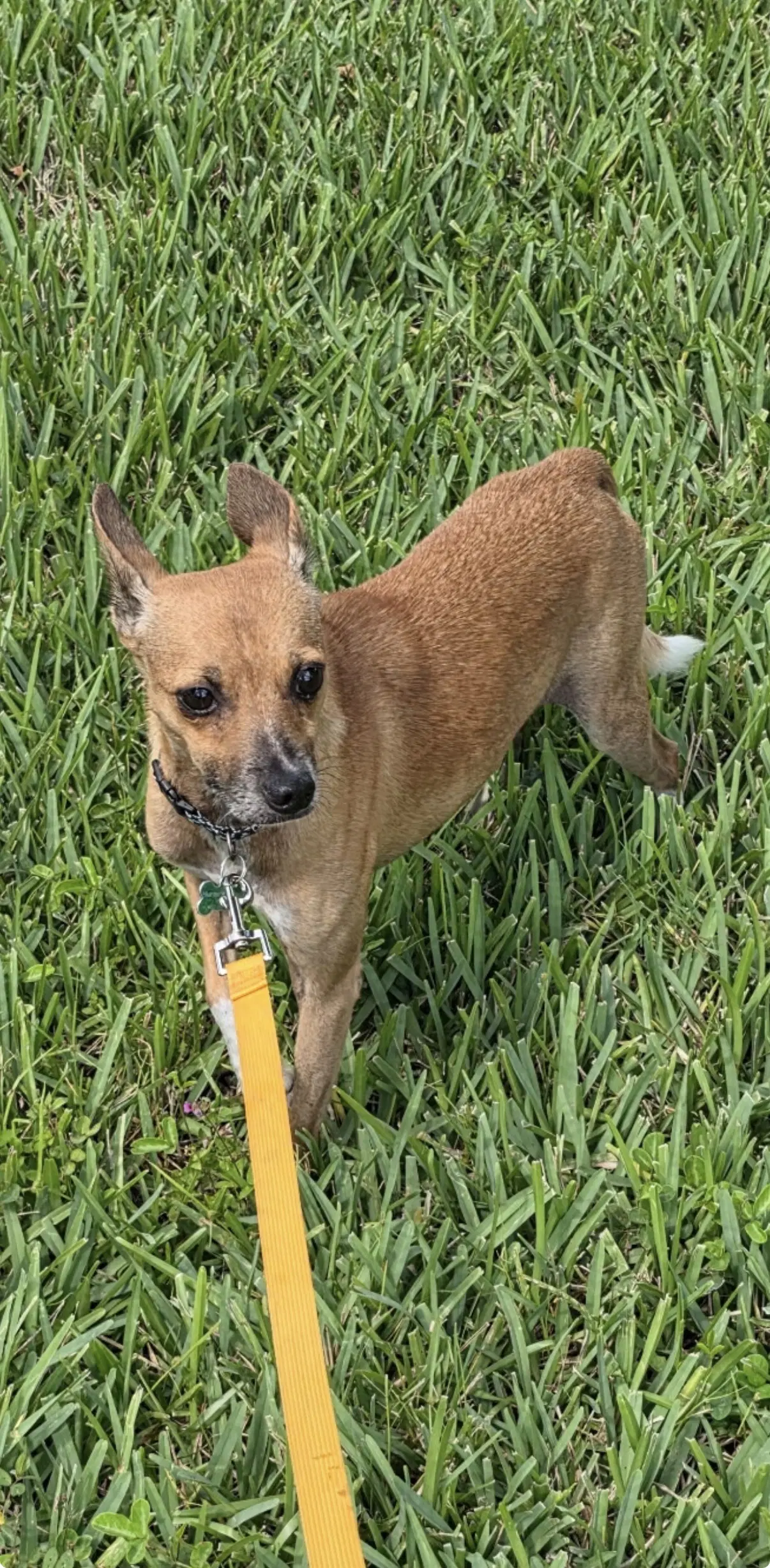 Jack image 3