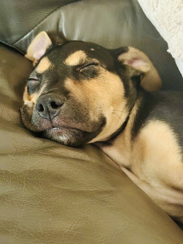 Pablo