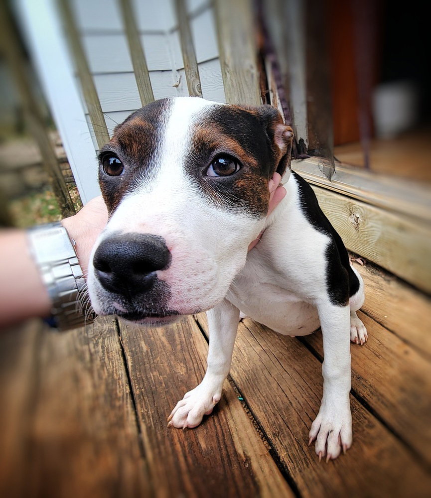 Emelia (Emmy)