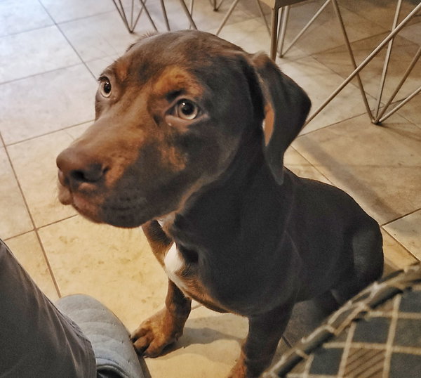 Oliver (Olly)