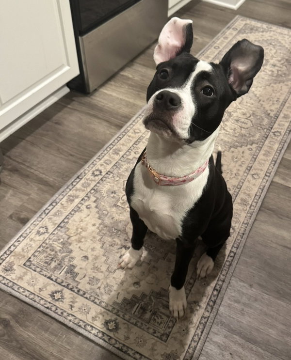 Tallulah