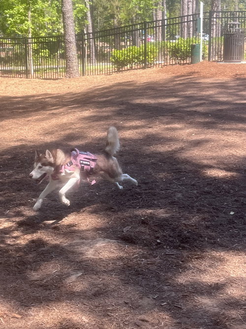 Photo 3 of Mikah