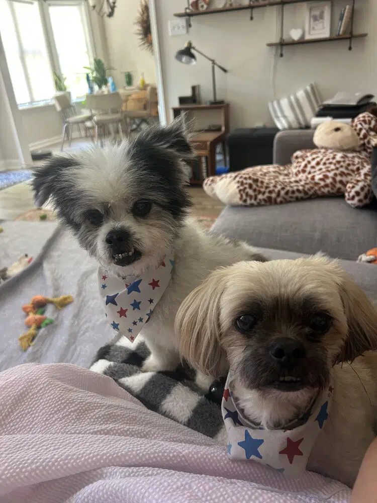 Parker image 2