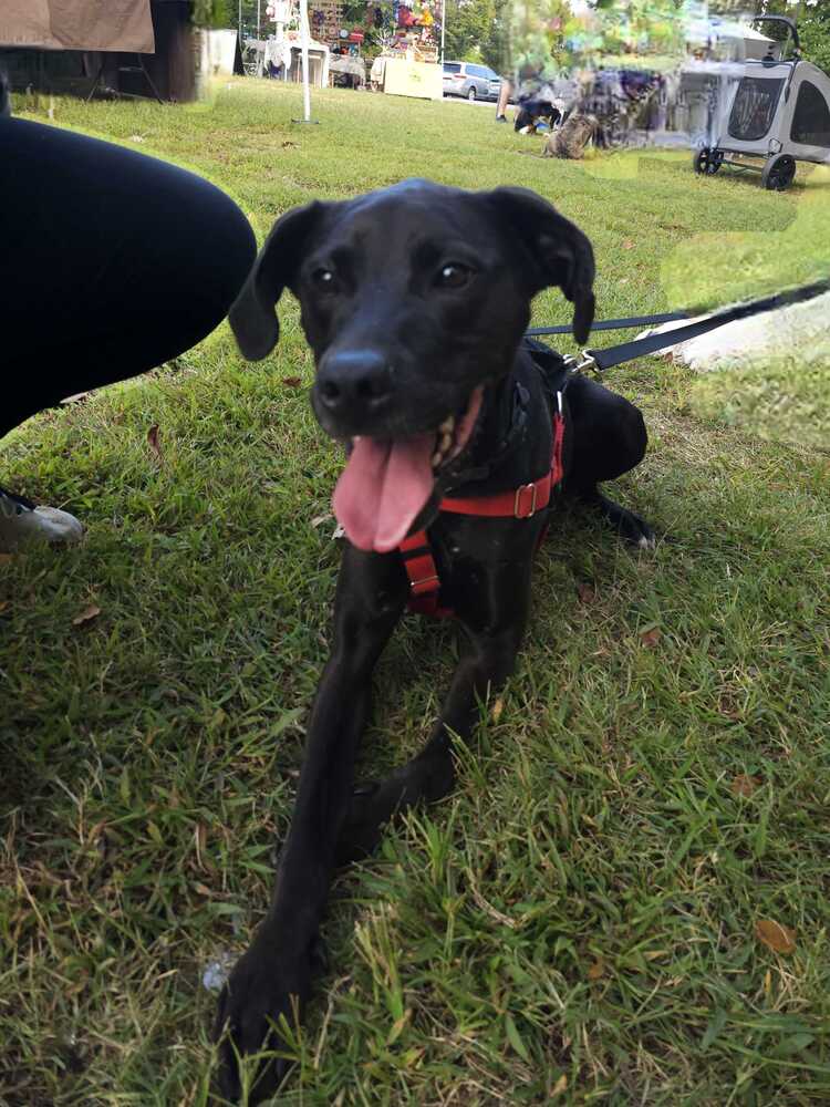 Addie image 3