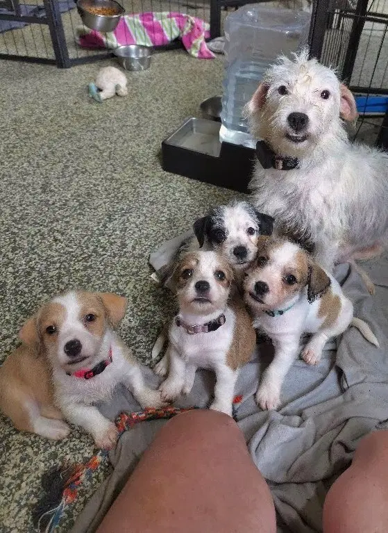 Karma image 2
