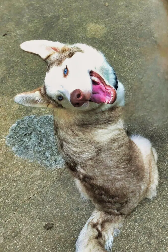 Jinx image 2