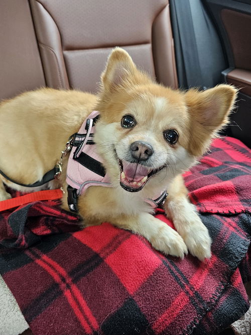 Fiona