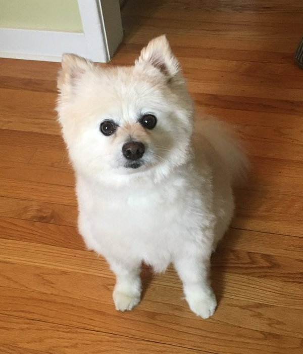 Milo Jr