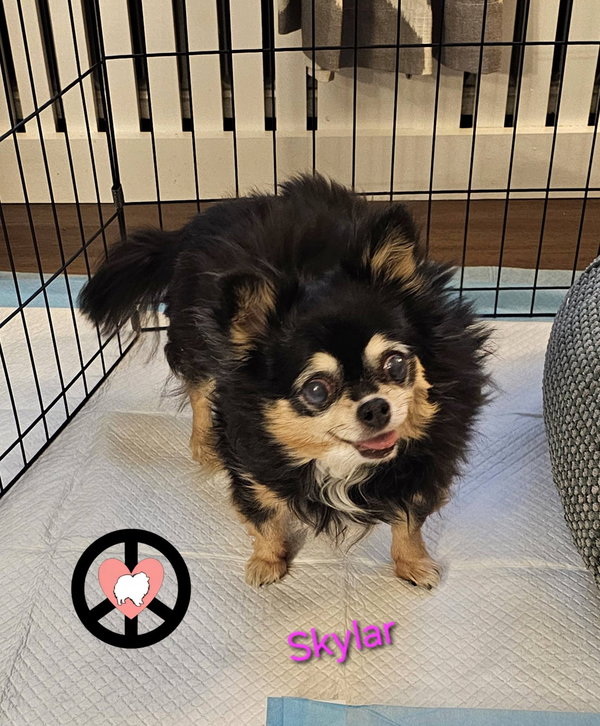 Skylar