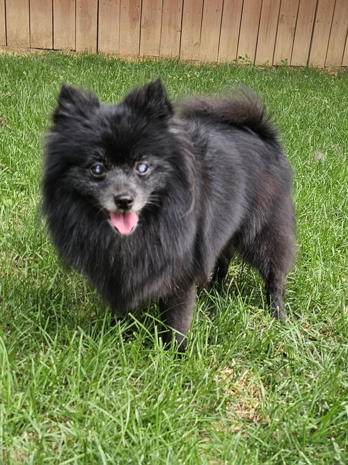 Edna, photo 2