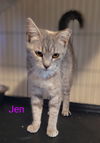 Jen