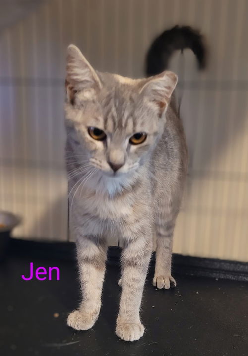 Jen