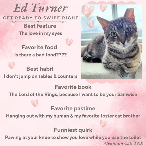 Ed Turner
