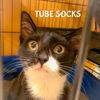 Tube Socks