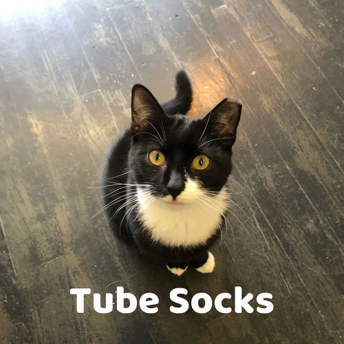 Tube Socks