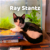 Ray Stantz