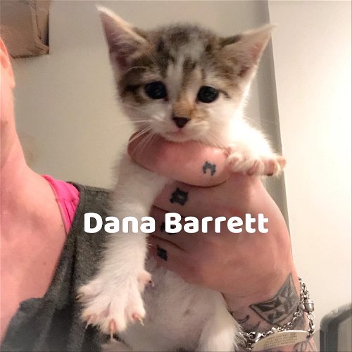 Dana Barrett
