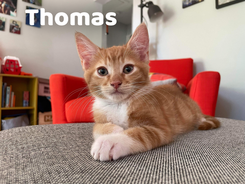 Thomas