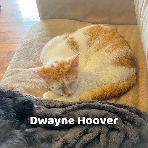 Dwayne Hoover