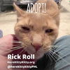 Rick Roll