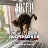 Audre Lourde