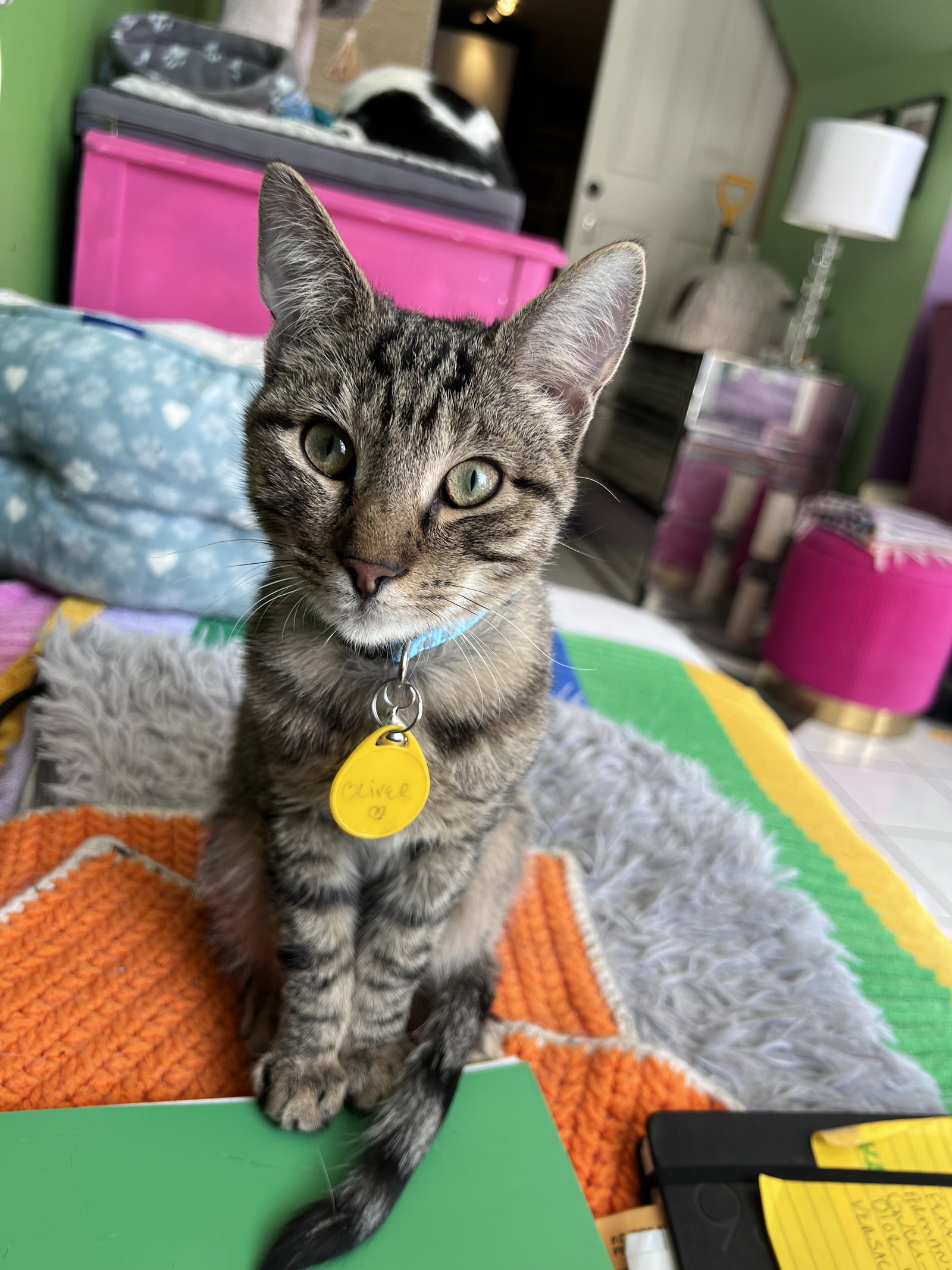 Oliver