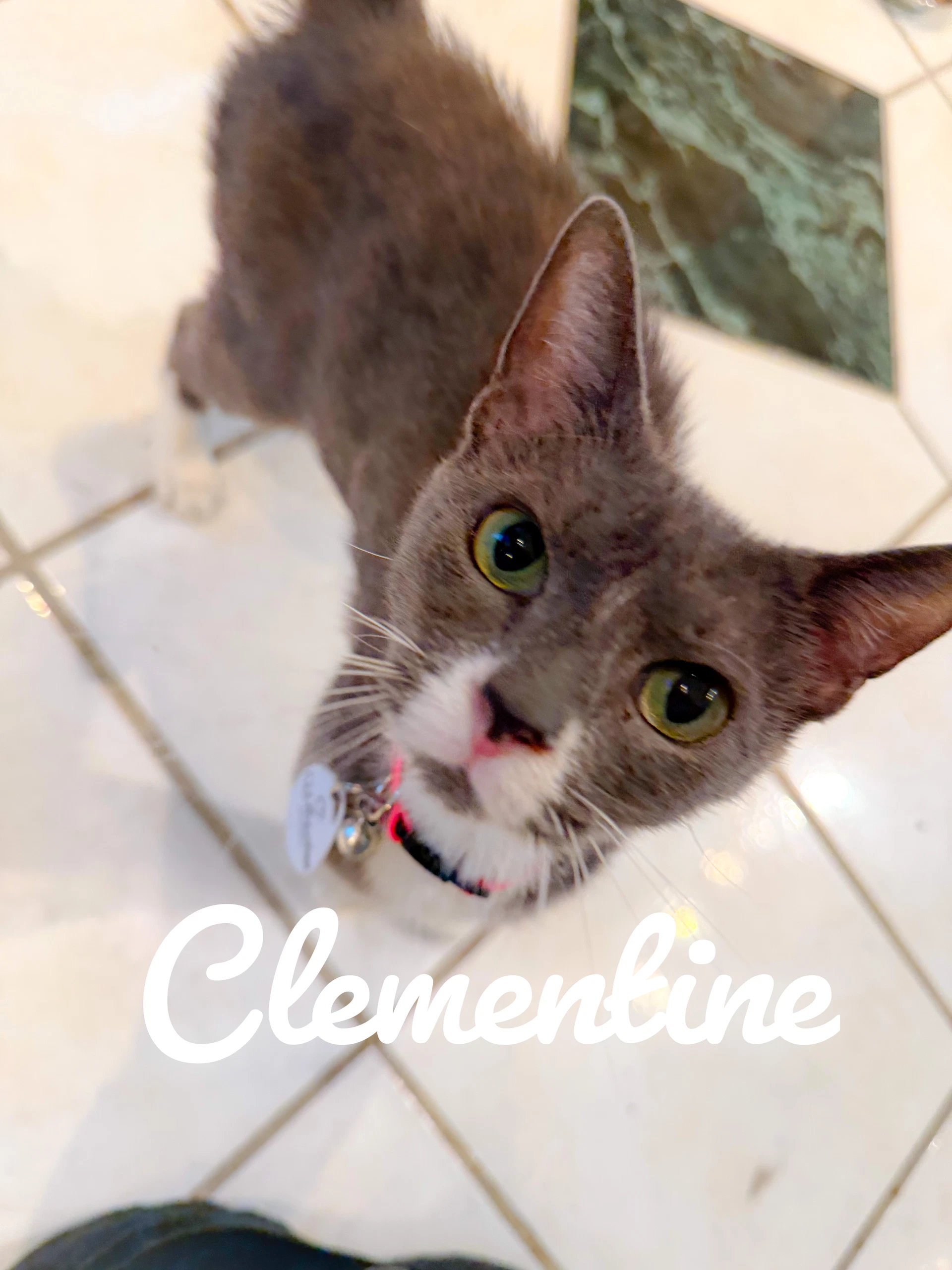 Clementine