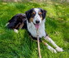 Max - Photo 3