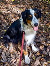 Max - Photo 2