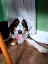 Max - Photo 4