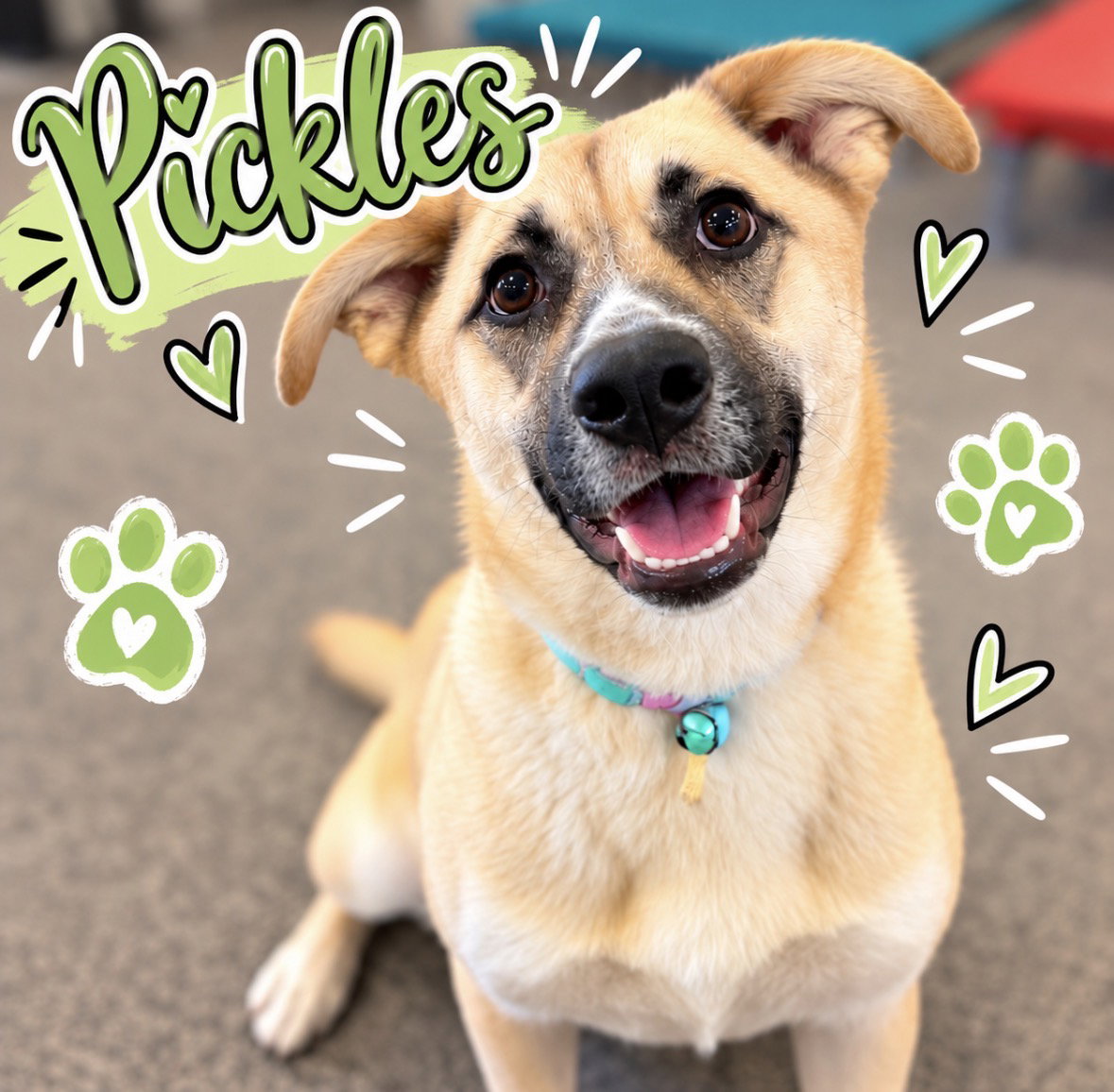 Pickles