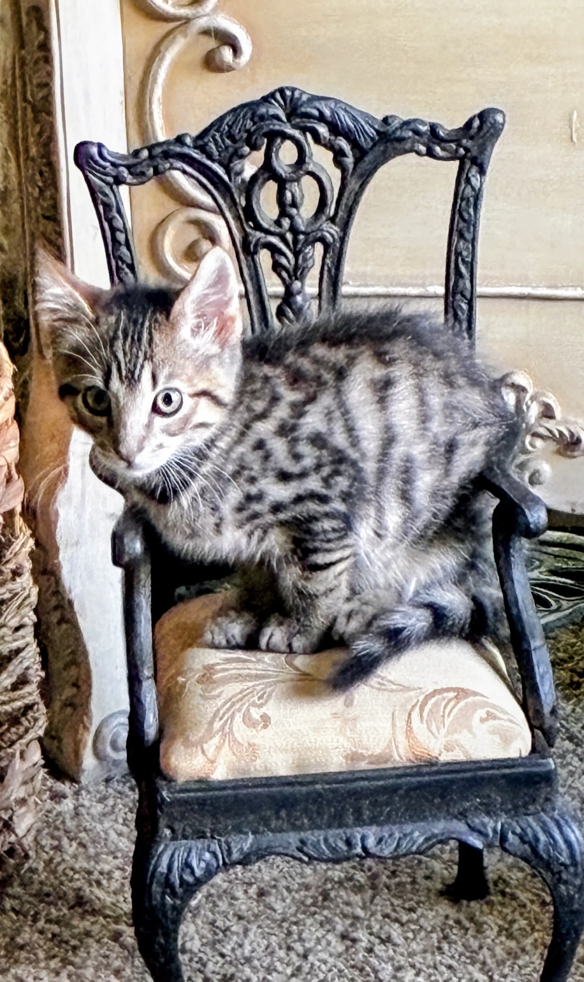 Moritz image 2