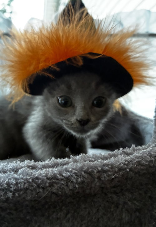 Photo 2 of Delilah