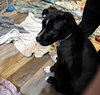 Lilly - Photo 7