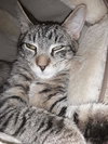 Max - Photo 2
