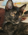 Stormy - Photo 3