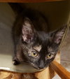 Stormy - Photo 4