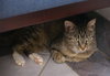 Wendy - Photo 3